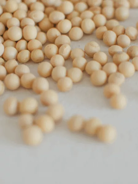 Salade tiède de haricots blancs et échalotes confites