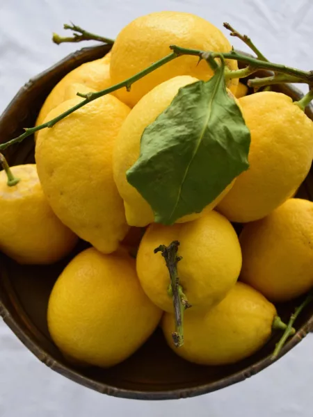 émincé de volaille au citron confit
