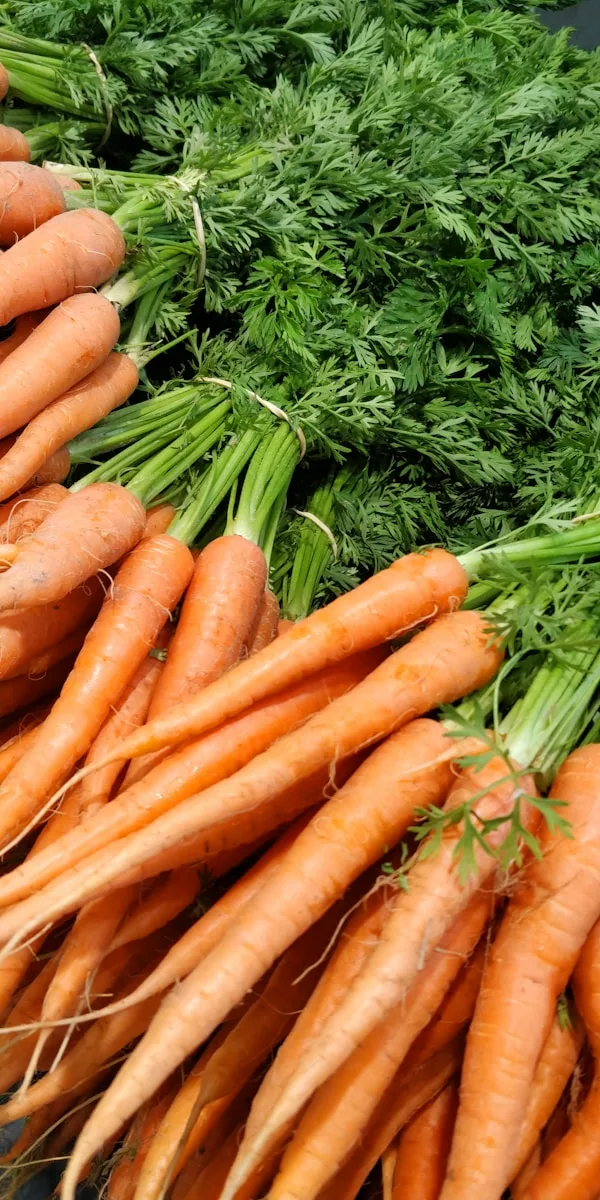 Pavé de saumon vapeur & purée de carottes au gingembre