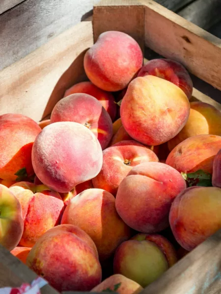 pêches pochées à la verveine