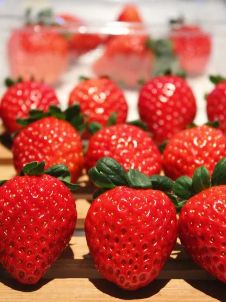Soupe de fraises à la menthe fraîche